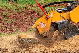 Lawn Grading and Leveling in Menasha, WI